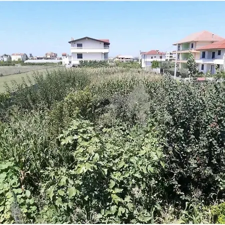 Green Villa *