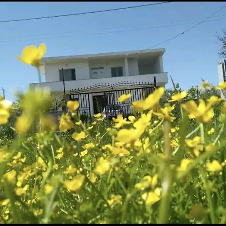 Green Villa